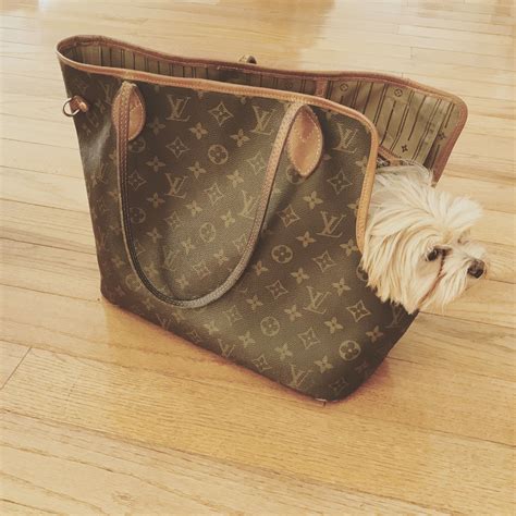 Louis Vuitton's Luxury Dog Line: A Paw